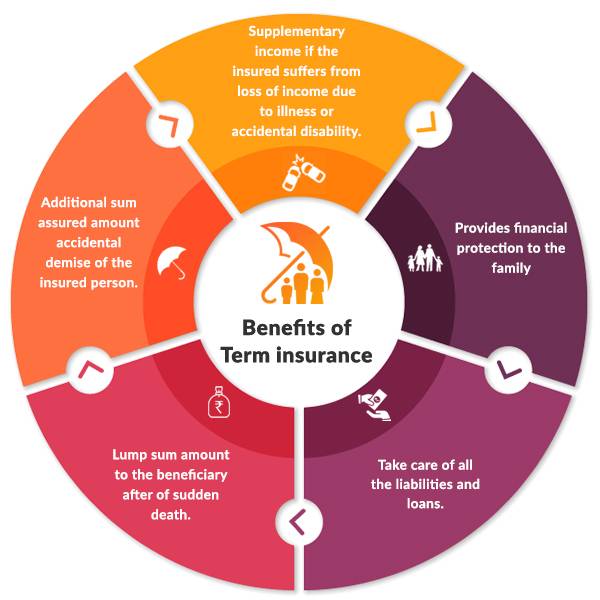 term insurance plan